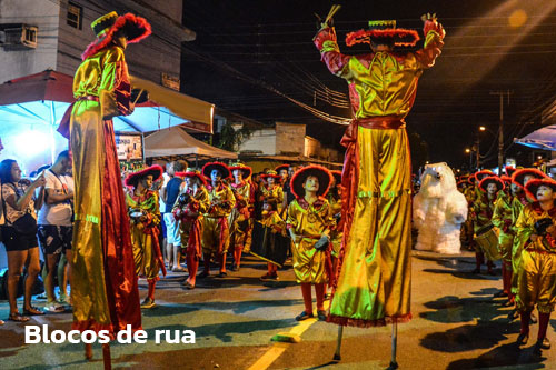 Blocos de Rua no Carnaval em João Pessoa